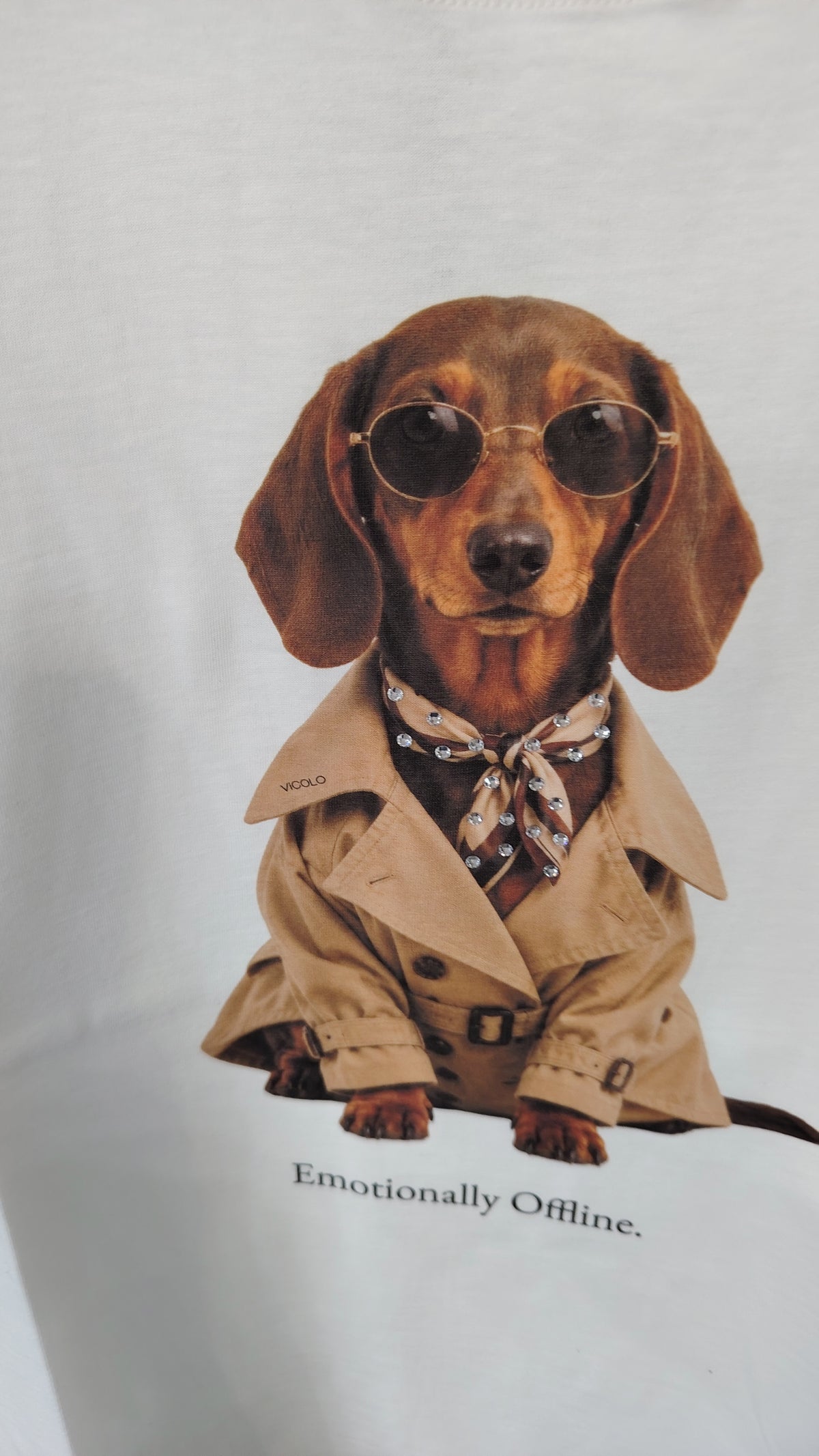 T-shirt Vicolo bassotto soprabito