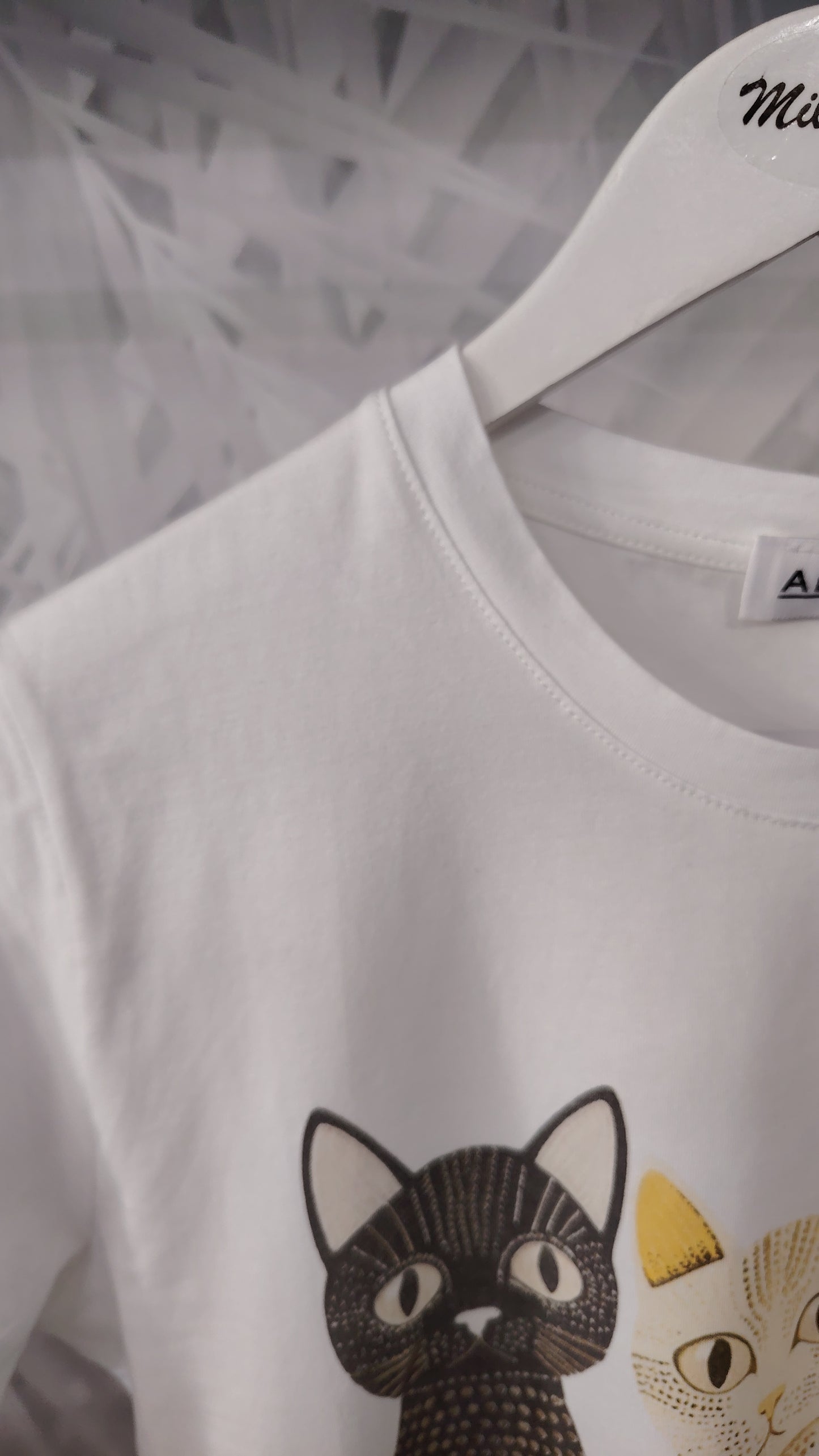 T-shirt gattini