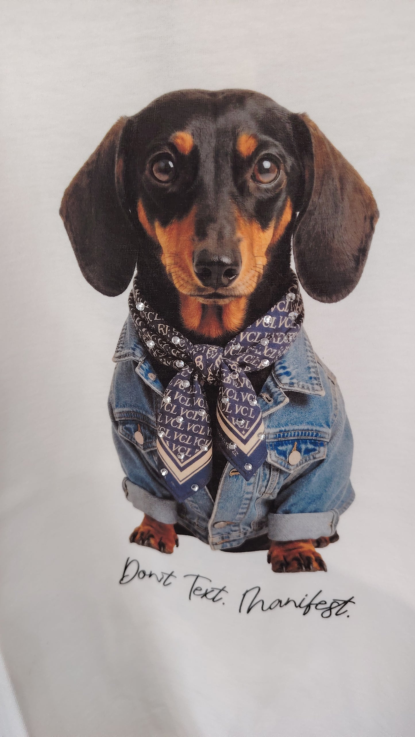 T-shirt Vicolo bassotto camicia